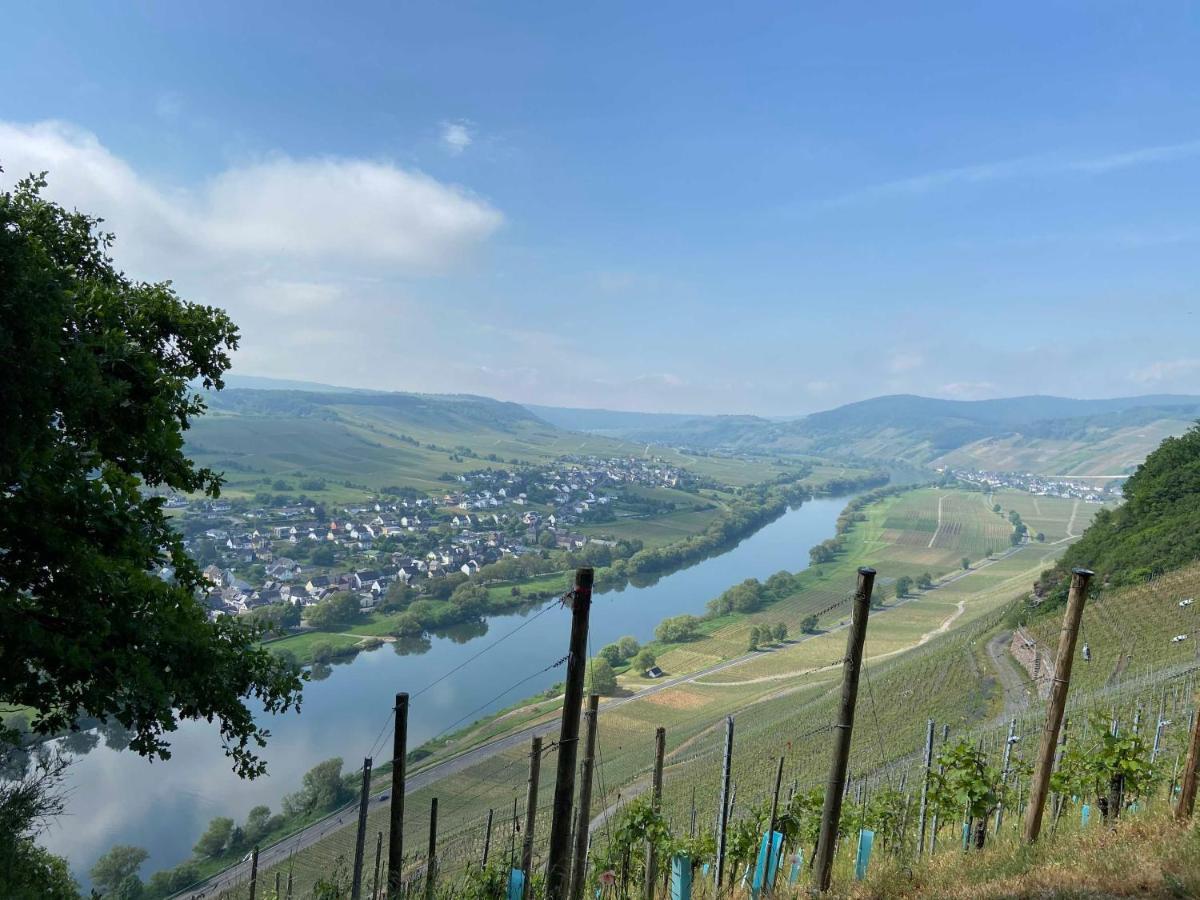 Neu!!! Moselbleibe Winzerhaus Kues Apartment แบร์นคาสเทล-คืสท์ ภายนอก รูปภาพ